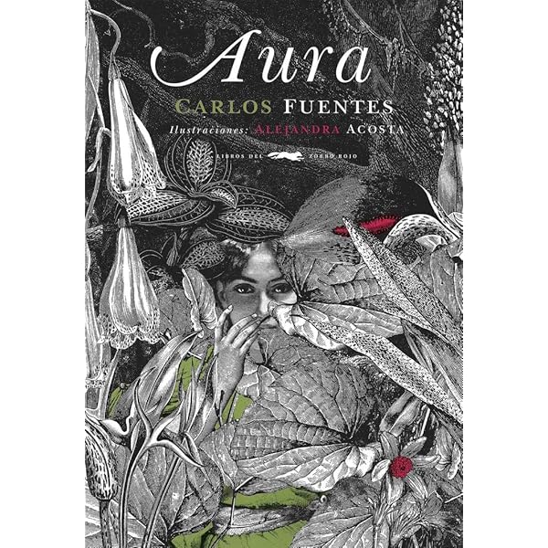 洋書 La gran novela latinoamericana Amazon.com: La gran novela latinoamericana: 9788420407647