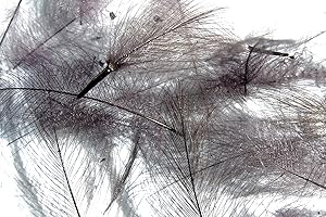 HARELINE DUBBIN Pechetruite 1g - CDC (Cul de Canard) Feathers - SLATE GRAY - For fly tying