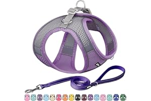 AIITLE Step in Zestaw uprzęży i smyczy – kamizelka dla psa z super oddychającą siateczką, odblaskowa uprząż dla zwierząt domowych, do spacerów na świeżym powietrzu, treningu dla małych psów, kotów,