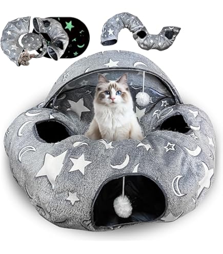Katten
