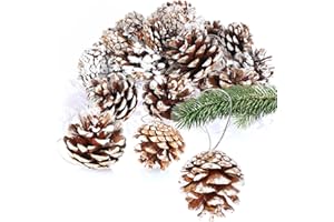 ‎COM-FOUR COM-FOUR® 20x Anhänger Tannenzapfen mit weißen Spitzen - Pinienzapfen als Weihnachtsdekoration - Zapfen Deko zum Anhängen - Bastel Set - Weihnachtsschmuck
