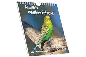 ‎ALPHA EDITION Alpha Edition - Niedliche Wellensittiche Kalender 2026 – Postkartenkalender 16×17 cm mit 12 Vogelmotiven zum Aufstellen oder Aufhängen, Tischkalender, ... Geschenk für Wellensittich-Fans: Verspielte