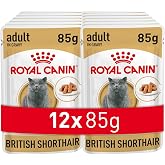 Royal Canin British Shorthair Canned 85 gr x 12 Pieces
