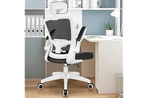 FelixKing - Silla de oficina ergonómica, soporte lumbar ajustable, silla ejecutiva de malla para escritorio con reposacabezas ajustable, reposabrazos, respaldo alto, capacidad de 136 kg, blanca