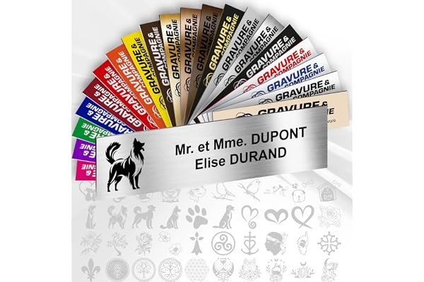 Plaque Boîte aux Lettres Déco Personnalisable De 1 À 3 Lignes – Logo Ou Motif Avec Nom Gravé – Adhésive PVC – 10 x 2,5 cm (Gris Alu Métallisé + Dessin)