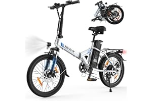 VARUN E Bike Klapprad, 20 Zoll City E-Bike Elektrofahrrad Herren Damen mit 48V- Lithium Akku, Faltbares City E-Fahrrad mit LCD, StVZO-Zertifikat, Laufleistung bis zu 70KM