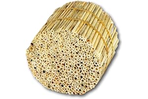Hiss Reet BeeCasa by Schilfrohrhalme FEIN | Naturbelassener Bund | Insektenhotel & Bienenhotel Füllmaterial | Niströhren & Nisthülsen für Wildbienen