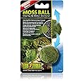 Exo Terra PT2478 Moss Ball