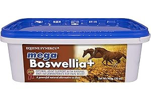 EQUINE SYNERGY MEGA BOSWELLIA + promuove le articolazioni sane con antidolorifici naturali e anti-infiammatori, un'efficace alternativa potente al buto.