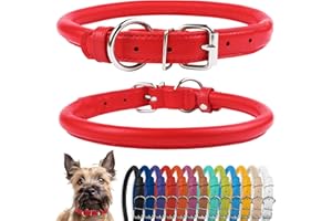 CollarDirect Rundes Leder Hundehalsband, weich gepolstert gerollt, handgefertigtes Echtleder Halsband für Hund Welpe Katze Klein Groß Schwarz Rosa Rot Lila Blau