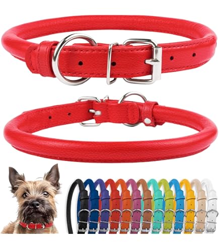 Staffy Leder Kleines Hundehalsband & 1" Leder Blei Kombinier Set In