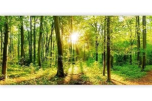 murando Fotomurales Bosque 550x250 cm XXL Papel de esquina Papel pintado tejido no tejido Decoración de Pared decorativos Murales moderna de Diseno Paisaje Panorama b-B-0383-a-a