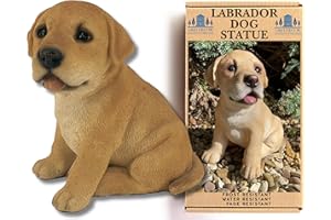 G&H Decor – Estatua de césped de poliresina Labrador Puppy – Adorno Acabado a Mano con Detalles intrincados – Figura Adecuada para Uso en Interiores o Exteriores