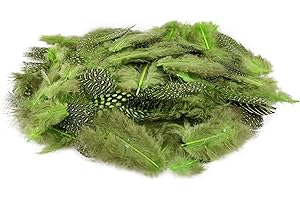 Netuno 150 Plumas Decorativas Verdes Punteadas 6g Manualidades Decoración Atrapasueños Fiestas Pascua Navidad Bricolaje Hogar Bodas Cumpleaños Árbol Navidad Mesas Proyectos Creativos