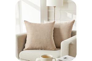 Topfinel Housse de Coussin 50x50cm Canapé Chaise Maison Lit Enfant Bebe Lot de 2 Gros Housses Coussins Carré pour Fauteuil Relax Salon Scandinave Chambre Double Face Motif Uni en Chenille Doux