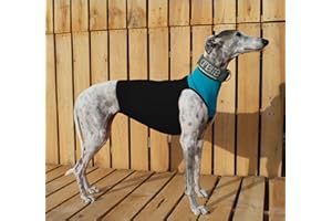 Galguita Amelie Bavaglino e tutore per levrieri in lycra, taglia L, diametro torace 78,7-86,4 cm, colore: nero e blu