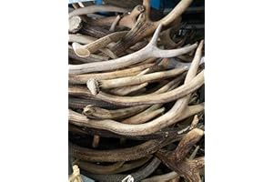 RF - Deer Corno di cervo naturale, decorazione unica, perfetto per giocattoli per cani, giocattolo da mordere, resistente alla masticazione, l'asta comprende la vendita di 1 kg (20–30 cm, 4–8 pezzi)