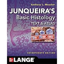Junqueira's Basic Histology: Text and Atlas, Seventeenth Edition