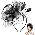 WLLHYF Fascinators Hat, 1920s Fascinators Hats for Women Flower Mesh Feathers Hair Clip Tea Party Hats Feather Headband