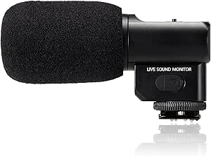 externes mikrofon kamera