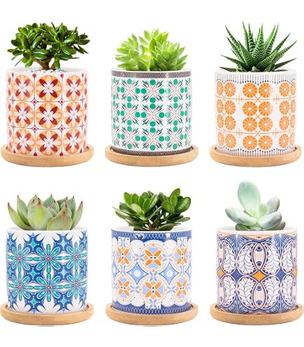 Vasi Per Piante Grasse XUDREZ Set Di 4 Vasi In Ceramica Per Piante Grasse Con Vassoio In Bambù - Mini Vasi Decorativi Moderni Per Interni, Multicolore Vasi Interni Con Foro Drenaggio