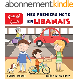 Manuel De Parler Libanais Ebook Antoine Fleyfel Amazon Fr