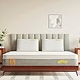 SleepyCat Cloud Mattress | Hotel-Like Quilted EuroTop with Memory Foam & Latex | No-Motion Transfer Pocket Spring | Pressure Relief & Luxurious Feel | Single Size (72x36x8 Inches)
