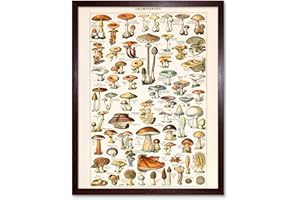 ARTERY8 Millot Encyclopedia Page Mushrooms Fungus Art Print Framed Poster Wall Decor 12x16 inch Affiche Mur Déco