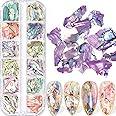 Tazweeq 12 Grids Irregular Abalone Seashell Slices, Art Glitter Flakes Acrylic Nails, Art Shell Piece Charm Shiny Decoration UV Gel Accessories Craft, Manicure DIY Paillette Accessories
