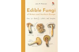 Edible Fungi of Britain and Northern Europe: How to Identify, Collect, and Prepare (WILDGuides of Britain & Europe)