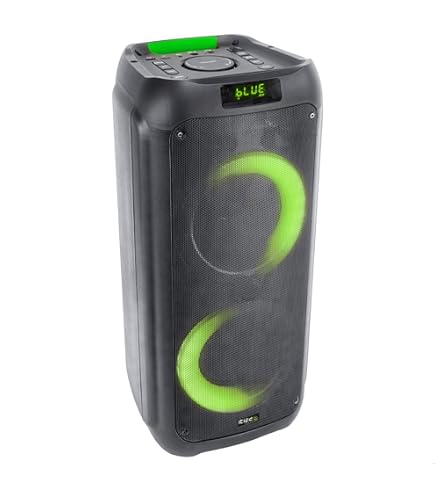 Ibiza - COLUMBA700 - Krachtige Bluetooth karaoke-luidspreker met LED, TWS, USB-C, microfoonprioriteit - 2 microfooningangen, opname, lichteffecten - USB, MicroSD - Zwart