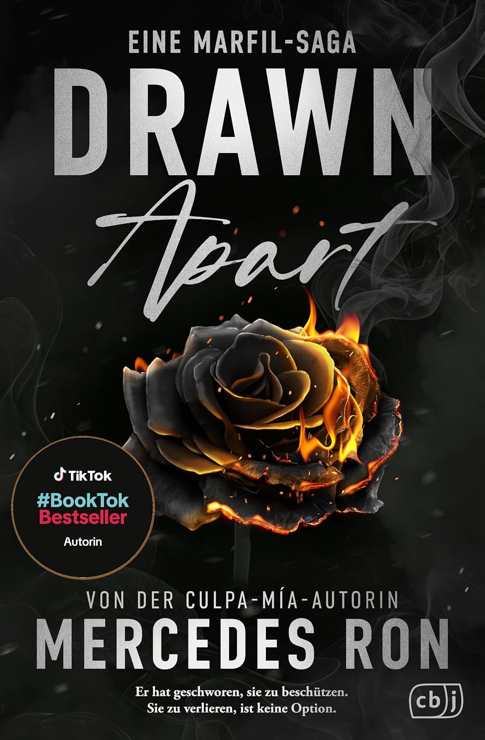 Einrichtung & Inbetriebnahme : Drawn Apart Das atemberaubende Finale der spi