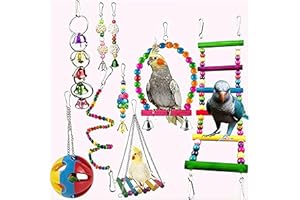 LOOPUNK Juguetes de Loro Pájaro, 10 Piezas Perchas Pájaros JuguetesconCampanas,Columpios,Juguete de Masticación,para pequeños y medianos Loros de Aves