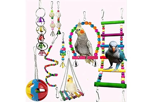 Lot de 10 jeux pour oiseaux perroquets, jouets pour oiseaux, échelle colorée jouet pour petits oiseaux, inséparables, hiboux, perruches, ara, pinsons et autres oiseaux petits et moyens.