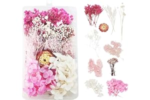 DOG'S BOOTY Fleurs Séchées Fleur Sechees Naturel Fleur Sechees Decoration Fleurs Séchées Resine Epoxy Fleurs Séchées pour Bougies DIY Bougie Ongles Artisanat Scrapbooking Décoration Florale (Rose)