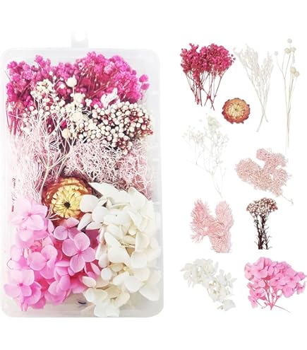 Shiwaki Fleurs Artificielles Simulation Fleurs Bo?Te Préservée Fleur