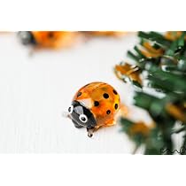 Set 2 tazzine in vetro con manico colorato e decoro esterno in vetro colorato con figura Coccinella | WD Lifestyle