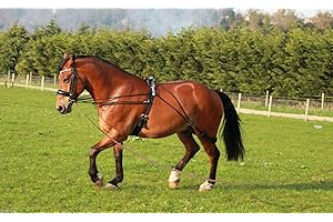 Cwell Equine New Horse Training aid Pessoa based Black,Brown,White one size fits all