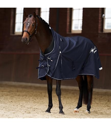 Coperta Per Esterni Imperial Riding IRHSuper-Dry 200g – Dark Sage, Misura 165 – Resistente A Pioggia E Insetti, Materiale 600D - 6