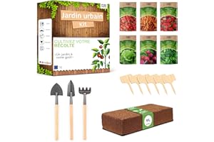 Kit Jardinage Potager Interieur PYEF CRAFTS - Kit Potager Indoor Prêt à Pousser - Kit DIY Potager D'interieur pour Plante a Faire Pousser - Kit Plantation Plantes D'intérieur (M)