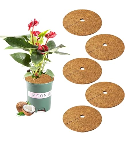 GroundMaster Toison Non-tissée De Jardin Perméable à L'eau 1,5 X