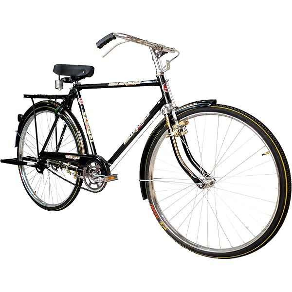 RALEIGH Tourist Classic City Bike, 52cm/SM Frame, Black : Amazon