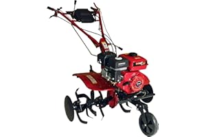 Bricoferr Motoazada Gasolina 210CC 7HP