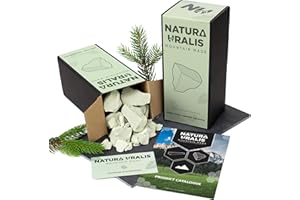 ‎NATURA URALIS Natura Uralis Ural Grüne Tonerde | Natürliche Grüne Tonerde, Pastell- bis Smaragdgrün - Erstaunlich Knackig, Befriedigend Erdige, Samtige und Feste Textur (Groß-Pack (500g))