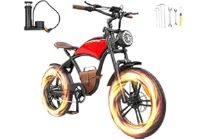 BEWELL Electric-Bikes-Adults E-Bikes for Men - 250W Motor Off-Road Fat Tire Ebike with 12.5Ah 48v Battery 25Km/h Electric-Dirt-Mountain-Bike with Leather Bags