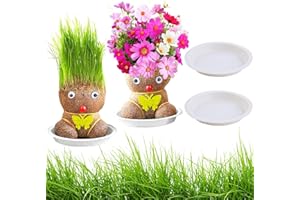 ZDNT 2 Stück Graskopf Wachsende,Graskopf Puppenpflanze,Wachsende Graskopf Puppenpflanze,Blumenkopf Graskopf,Grass Head Doll Bonsai Growing Plants,Mini Bonsai Gras Kopf Figure Puppen Für Schlafzimmer