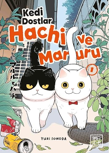 Kedi Dostlar Hachi ve Maruru 1