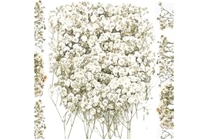 APICORT 100 Stück Getrocknete Blumen Trockenblumen Klein Baby’s Breath Blumen Echte Natur, Weiß und Zart, für DIY Kerze Harz Schmuck Nagel Kunst Basteln