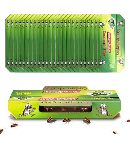 Pièges à Cafards Colle - Lot De 5, Appât Inclus, Anti Insectes Maison - Sûr Et Non Toxique