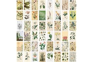 SEGXN 50 Pcs Botanical Postcards - Floral Landscape Art Cards for Wall Decor, Scrapbooking, Greetings, Invitations & Home Decoration Vintage Fresh Style
